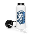 Mountain Stainless steel water bottle with a straw lid