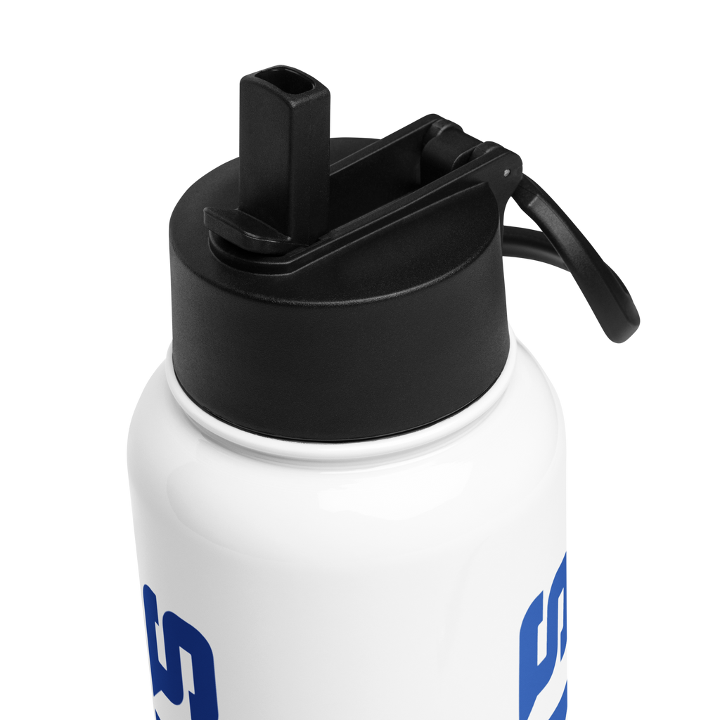 Lyons Stainless steel water bottle with a straw lid